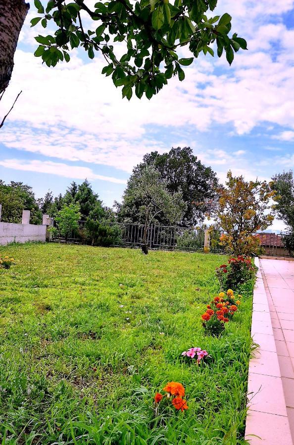 Villa Markic ドルヴェニク エクステリア 写真