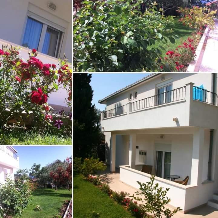 Villa Markic ドルヴェニク エクステリア 写真